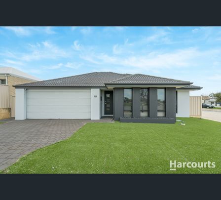 113 Shepperton Drive, Butler, WA 6036 - Photo 1