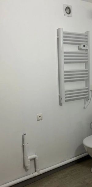 Location Appartement 1 pièces à Perpignan - Photo 1