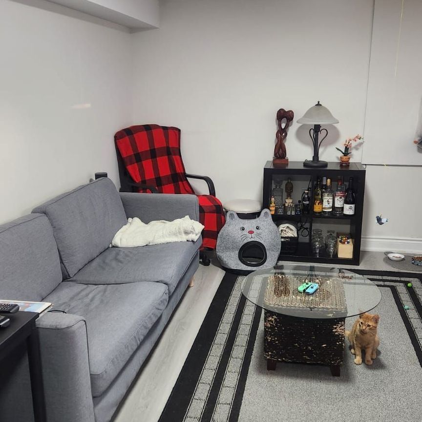 For Lease - 19 Rangoon Road Unit# Basement, Toronto, Ontario - Photo 1