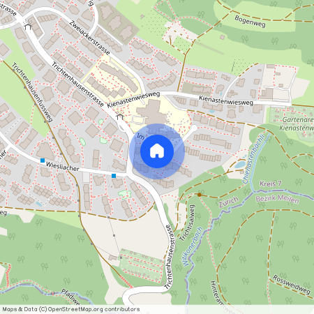 Im Trichtisal 6, 8053 Zürich