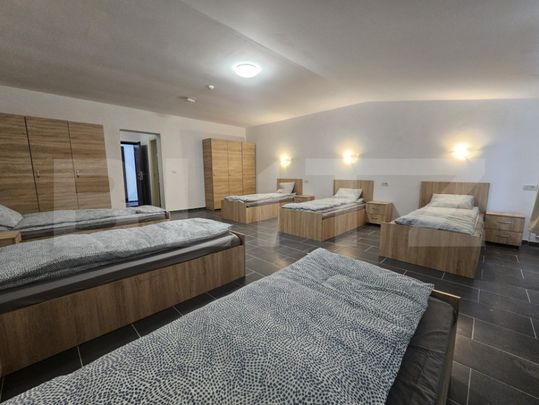 Proprietate de inchirat, 19 dormitoare, zona Dumbravita - Photo 1
