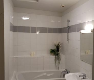 Location Appartement 1 pièce Meublé 51m² OULLINS 69600 - Photo 3