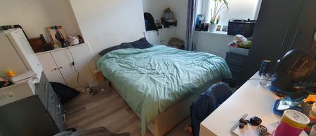 19 Daniel Street, Cathays, Cardiff, CF24 4NX - Photo 4