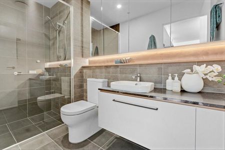 SILK ONE 2 BED 2 BATH - Photo 4