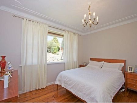 Freshly Painted Modern Home - Amazing Outdoor Area - Photo 3