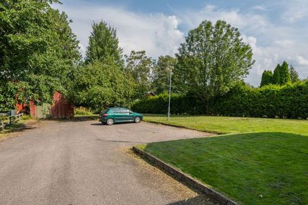 Börstigsvägen, Trädet - Foto 3