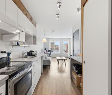Appartement à Montréal (Mercier/Hochelaga-Maisonneuve) - Photo 6