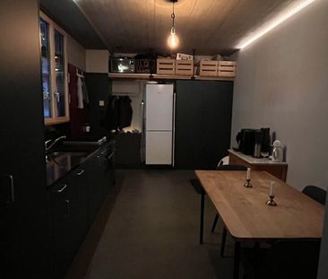 2-ROOM APARTMENT IN SCHLIEREN (ZH), FURNISHED, TEMPORARY - Photo 6