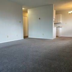 1 bed 1 bath Suite for rent! - Photo 1