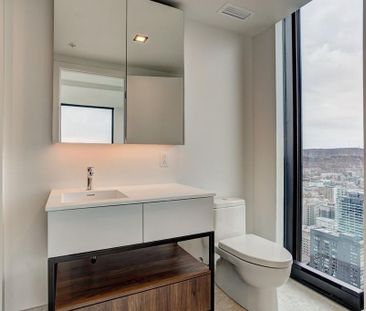 Appartement à louer - Montréal (Ville-Marie) (Centre) - Photo 4