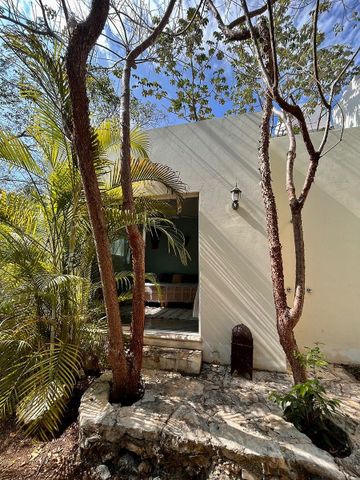 Casa Veleta Flores - - Photo 4