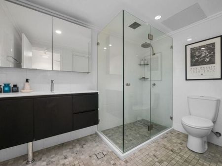 Renovated, townhouse-style, courtyard apartment in Moore Park Gardens - Photo 5