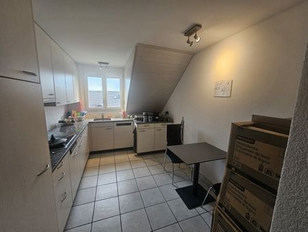 APPARTEMENT DE 3 PIÈCES À EGG B. ZURICH (ZH), MEUBLÉ, TEMPORAIRE - Photo 4
