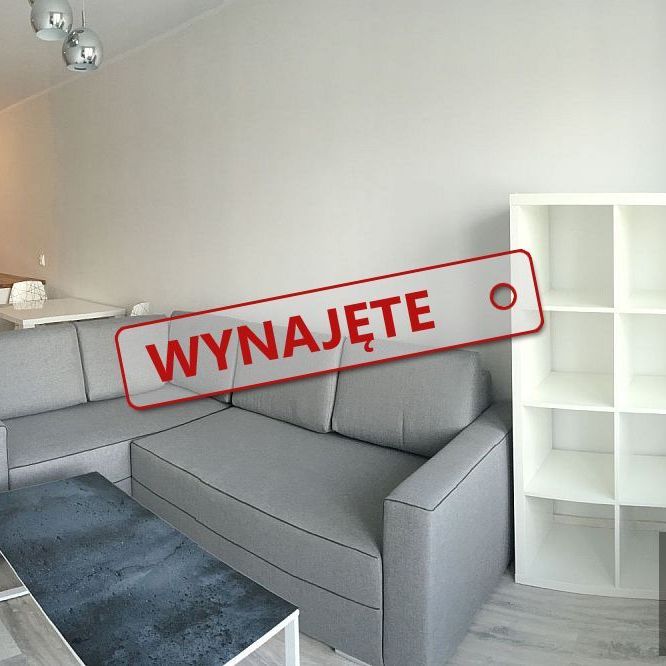 Do wynajęcia 2 pokojowy apartament 43m2 ul. Potulicka - Zdjęcie 1