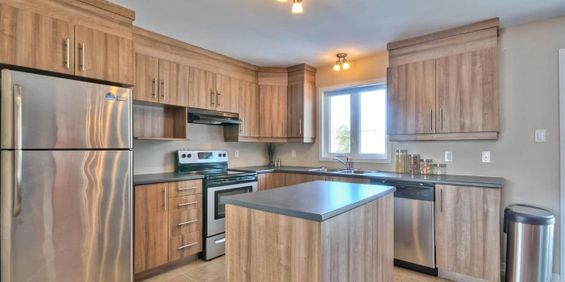 125 Rue Achille-Vanhee (Gatineau) Grand Logement 3 Chambres - Photo 3