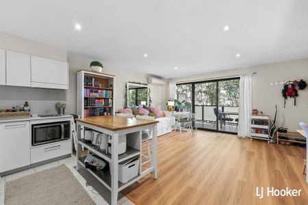 45/120 Thynne Street, Bruce ACT 2617 - Apartment For Rent | Domain - Photo 3