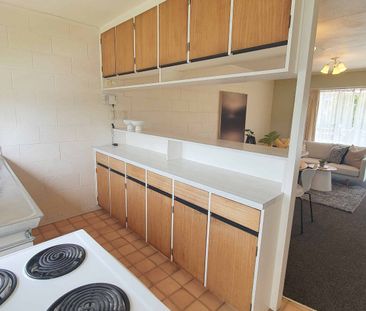 Spacious 1 bedroom unit with 1 bathroom - Photo 4
