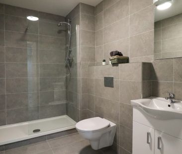 Apartment 11, Killeen Hall, Killeen Road, Dublin 10 - Photo 5