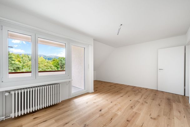 Schöner Wohnen am Irchelpark - Frisch saniert! - Photo 1