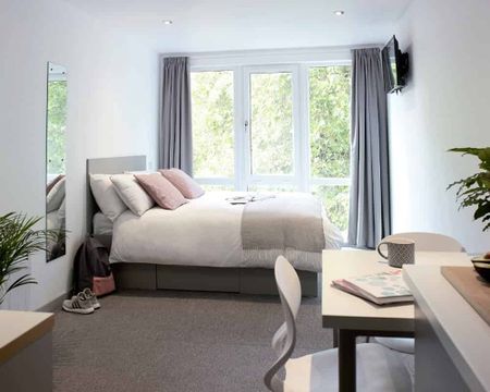 Silver Studio Premium - Photo 5