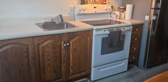 4 1/2 TRACY BOUL DES ERABLES - Photo 2