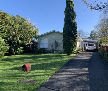 18 Milne Street Marton - Photo 2