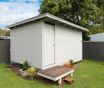 Cosy, Character-Filled Home in Handy East Lismore Location - Photo 5