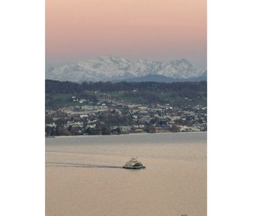 3½ Zimmer-Wohnung in Horgen (ZH), möbliert, auf Zeit - Photo 6