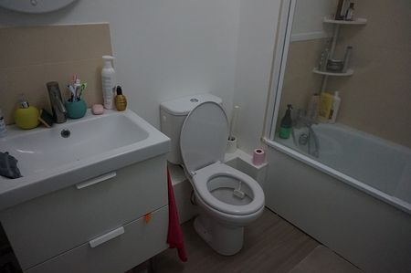 LILLE - APPARTEMENT - T1 BIS MEUBLE - Photo 5