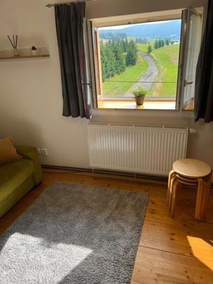 Pronájem bytu 2+kk 45 m², Velká Morava, Dolní Morava - Photo 1