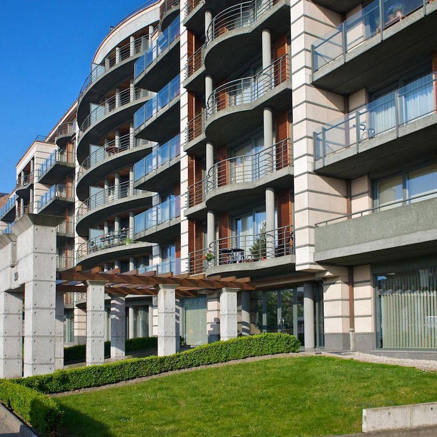 LICHTRIJK - Gemeubelde studio met TERRAS - Photo 1