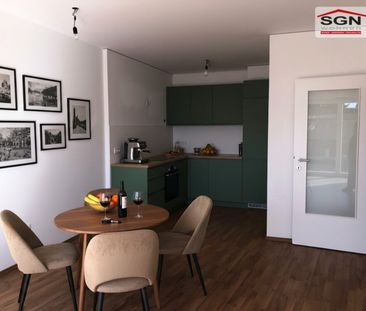 Beautiful Apartment Ready for Immediate Occupancy – Parking Space I... - Photo 5