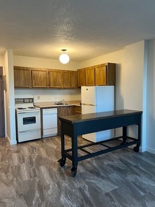 115 3RD AVE S - 1 BED/1 BATH - Available DECEMBER 1ST - Great downtown location! - Photo 1