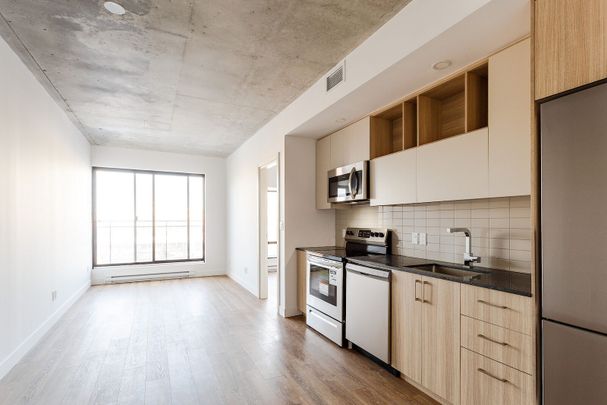 Loxley Quartier des Spectacles - Modern Rentals in the Heart of Downtown Montreal - Photo 1