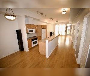 2 Bed + Den 1.5 Bath Underground Parking Glenora - Photo 4
