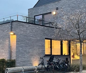 - Belsele – Appartement met 2 slaapkamers en terras. - Foto 4
