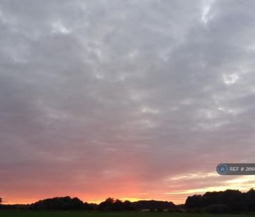 2 bedroom mobile home to rent - Photo 5