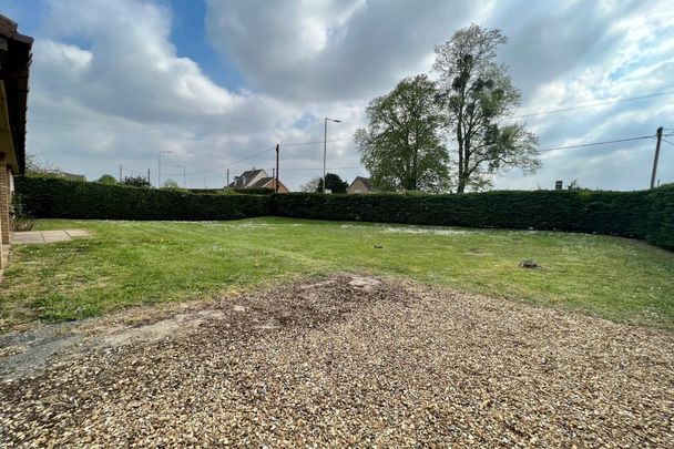 The Street - Photo 1