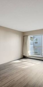 Yvonne Manor - 1 Bedroom - Available Now - Photo 3