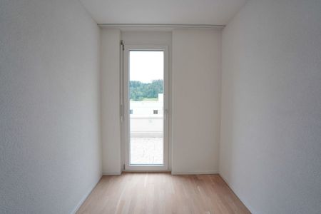 Moderne Attikawohnung mit Ausblick ins Grüne - Photo 5