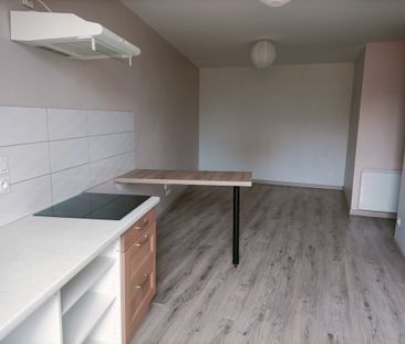 Location Appartement 1 pièce 36m² CHARLIEU 42190 - Photo 4