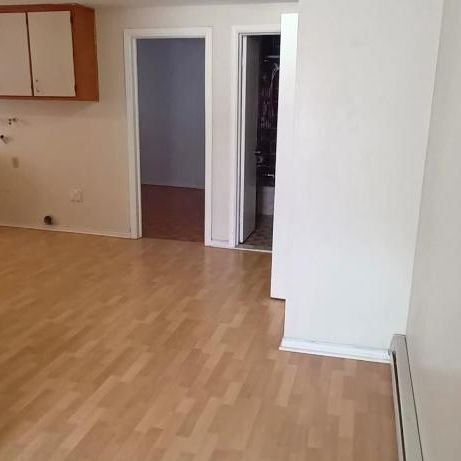 GRAND 3 1/2 AVEC PORTE PATIO DEMI SOUS-SOL LIBRE - Photo 1