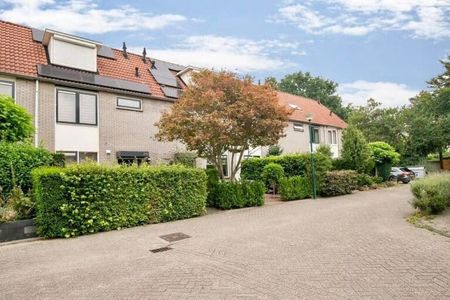 Adri Piecklaan - Foto 2