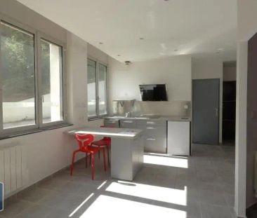 Appartement à louer 1 pièce 39.8m² - Photo 3