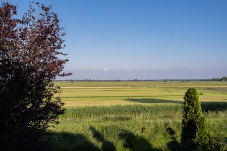 3742GA, Baarn, de Botter, 9 - Foto 5