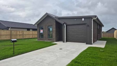 Contemporary Living in the Heart of Te Kauwhata - Photo 2
