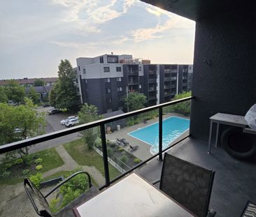 1 Chambre 1 Salle De Bain - Appartement - Photo 3