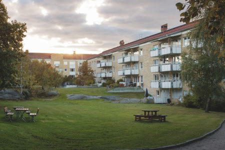 Smyckegatan 61 - Foto 4