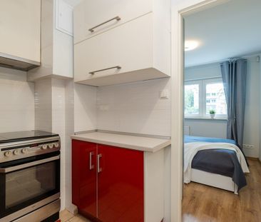 Dla miłośników spacerów po lesie - Фото 5