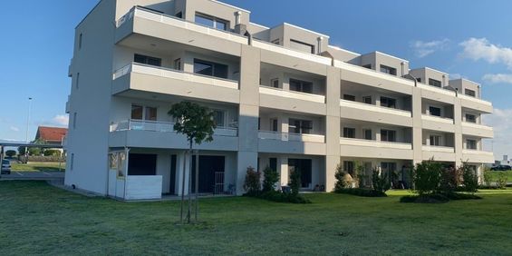 VUARINES 67, Appartement de 2.5 pièces avec terrasse privative - Photo 3